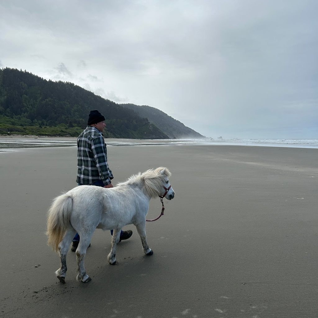 Arias the mini horse on the beach at Organic Essence certified organic farm Crescent City California